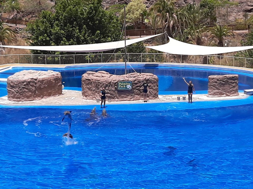 Pool HL Miraflor Suites Hotel