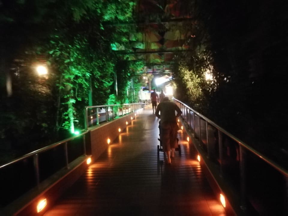 Gartenanlage Hane Family Resort