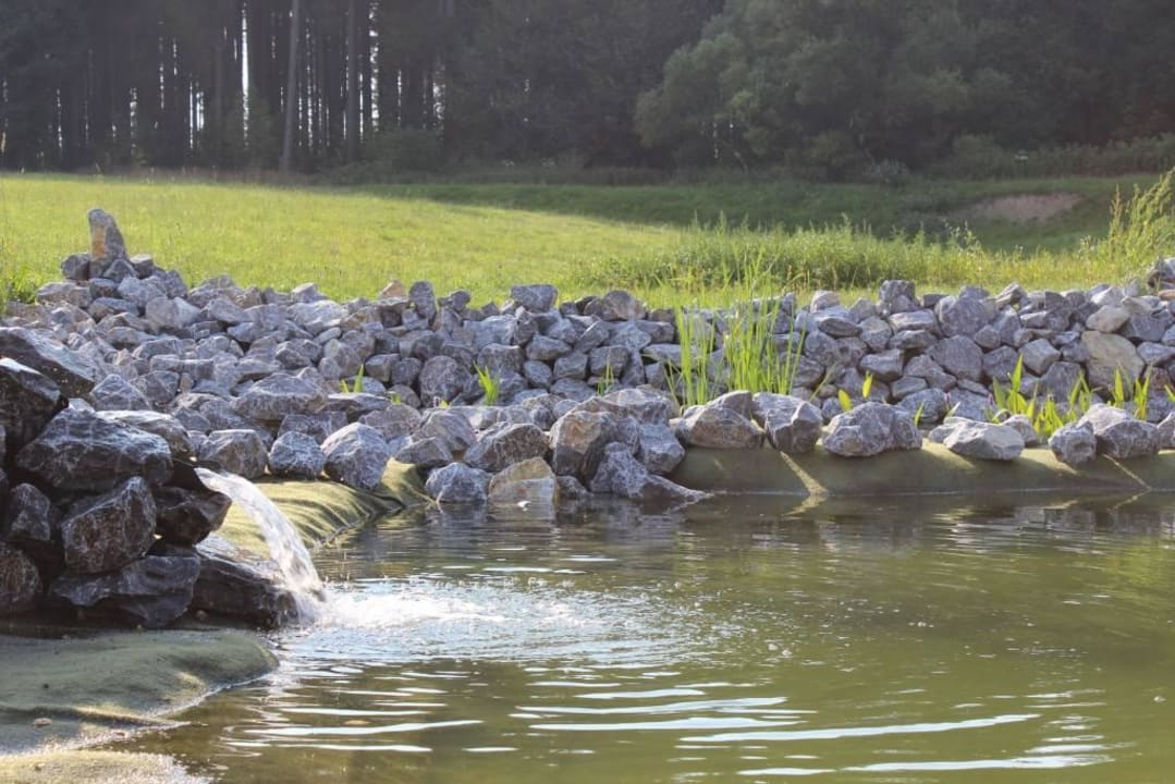 Naturschwimmteich Naturstammhaus und Appartements Zum Brockenbaecker