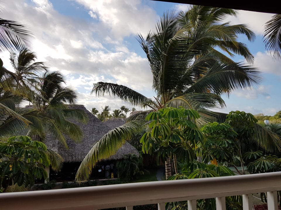 Ausblick Punta Cana Princess All Suites Resort & Spa