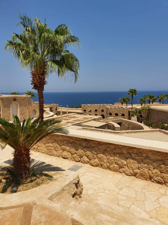 Ausblick Pickalbatros Citadel Resort