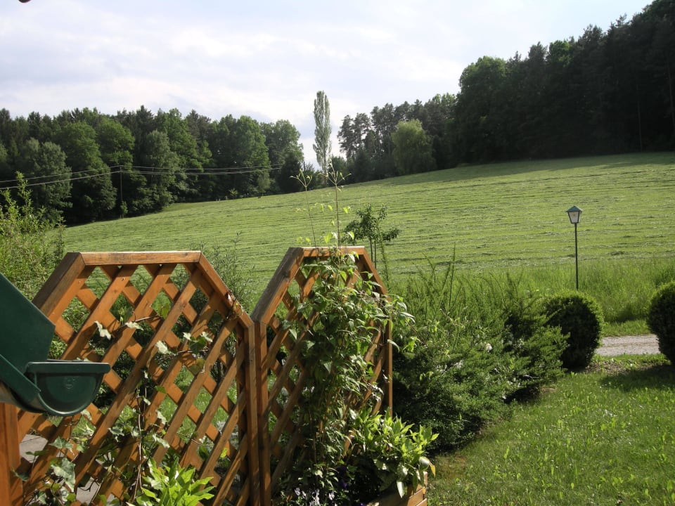 Ausblick vom Zimmer aus Zur Grünen Au
