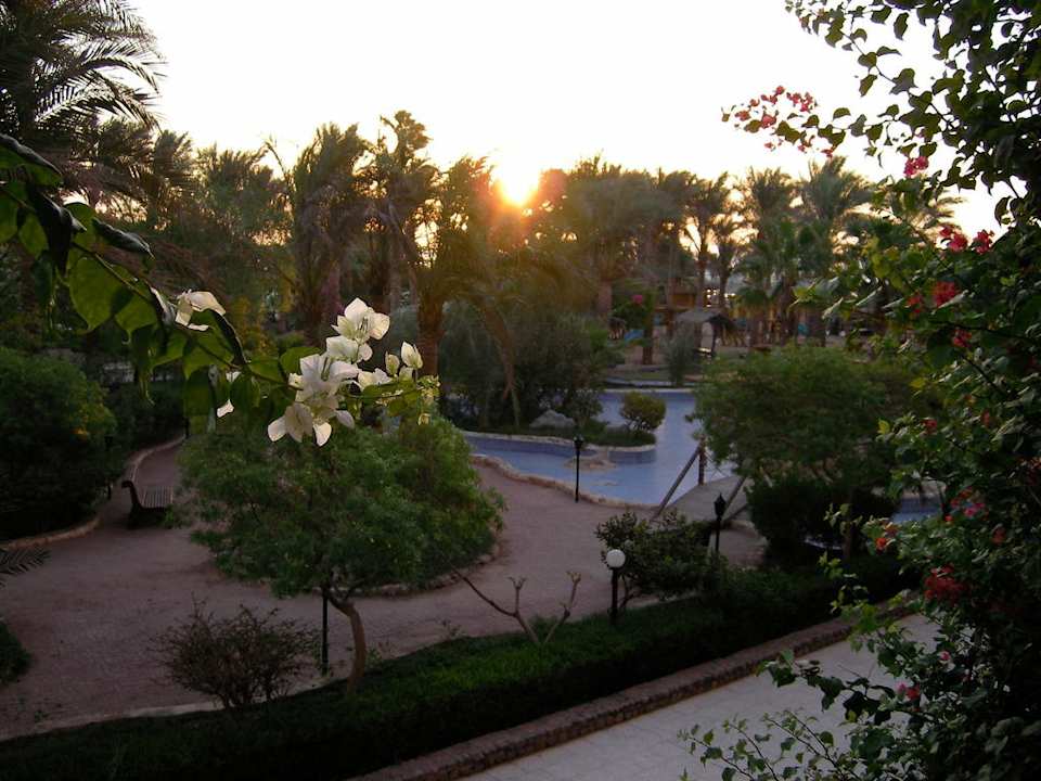 Blick aus dem Zimmer Giftun Azur Resort