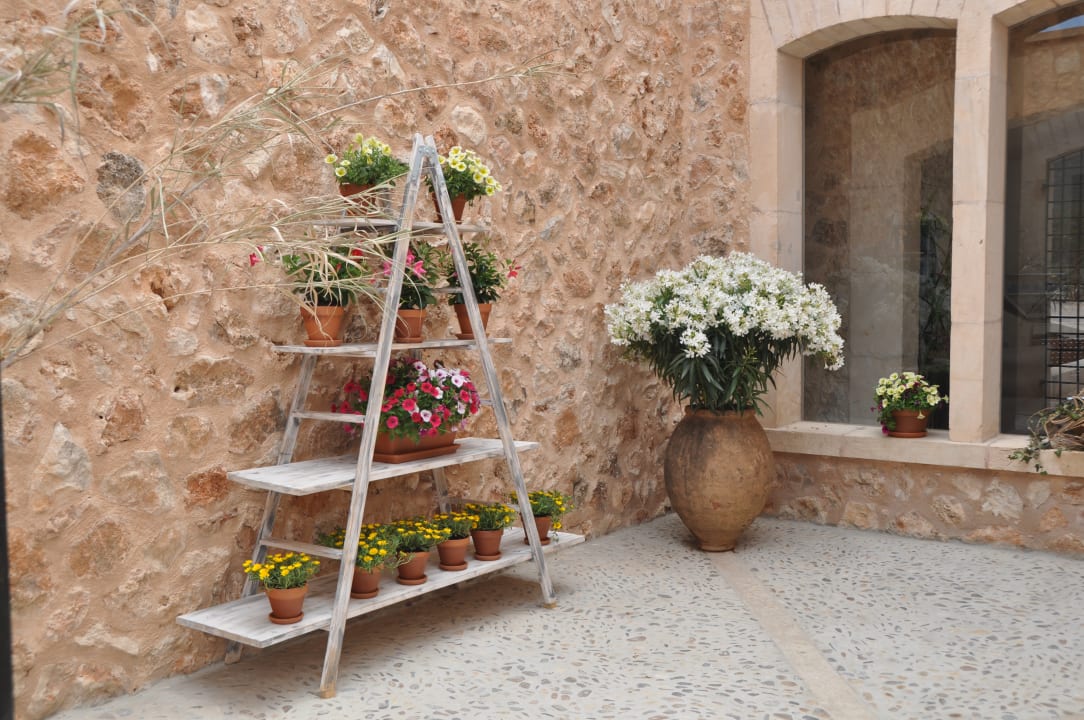 Gartenanlage Finca Alegria