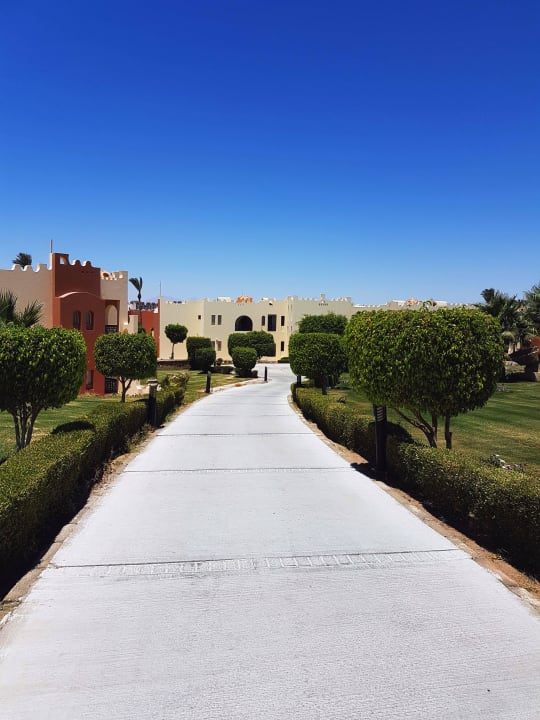 Gartenanlage SUNRISE Royal Makadi Resort