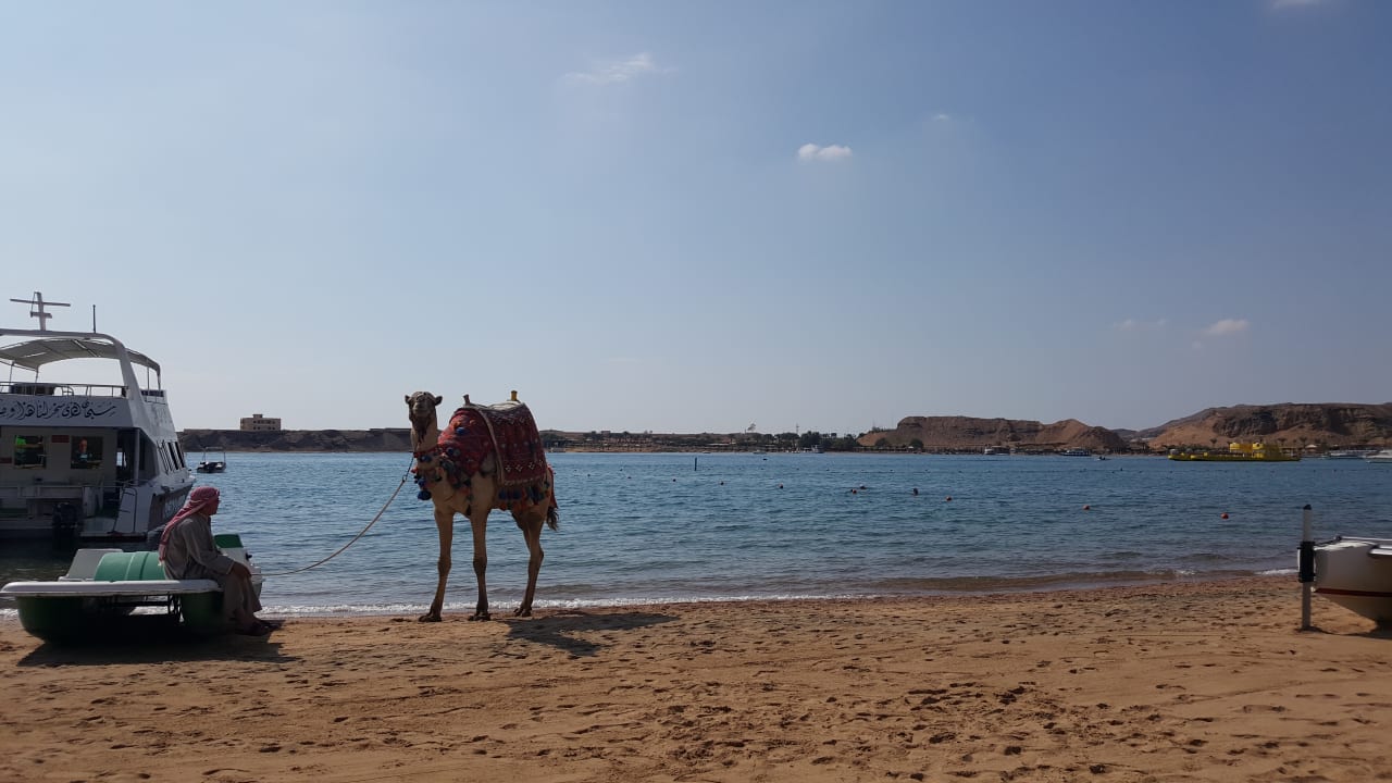 Strand Iberotel Palace