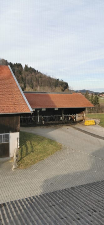Ausblick Ferienwohnungen Stöcklhof