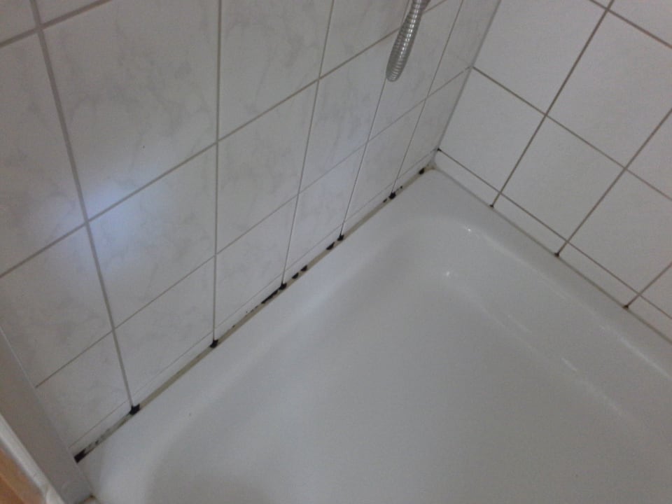 Verschimmelte Dusche Pension am Havelgut