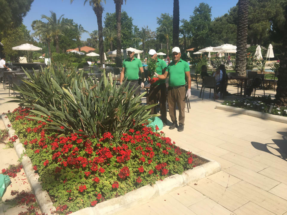 Gartenanlage IC Hotels Green Palace