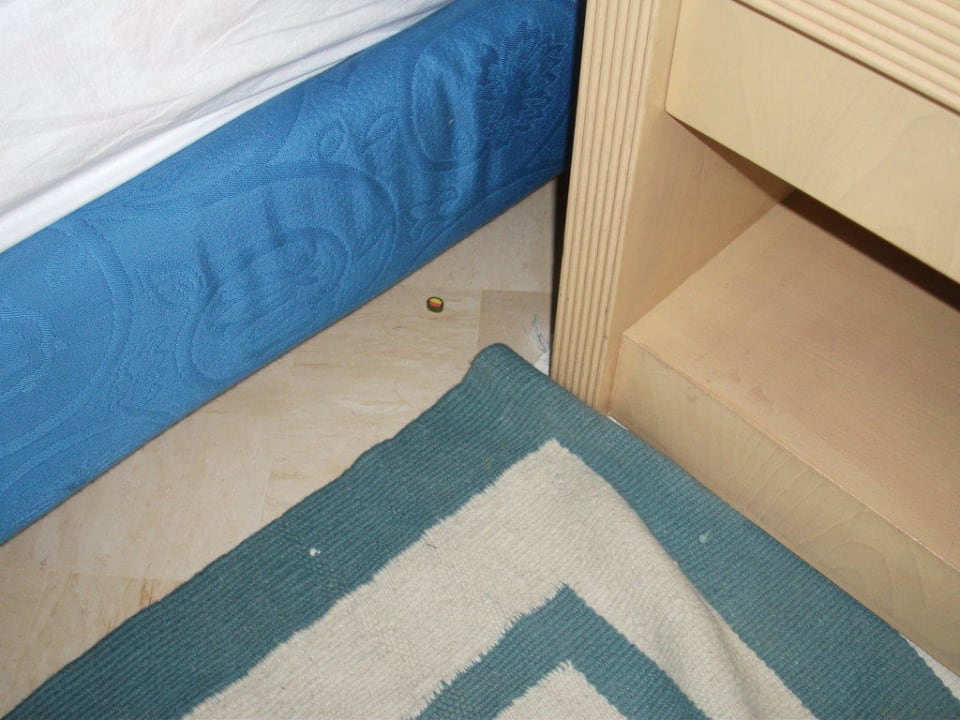 Gründliche Reinigung Hotel Royal Garden Palace