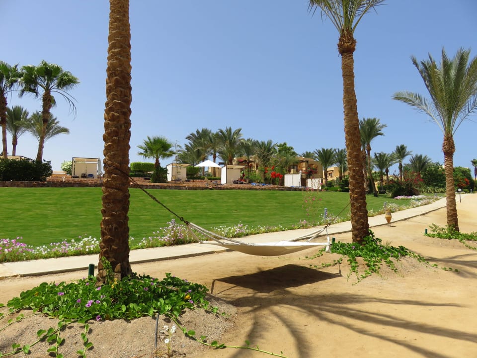 "lasst Bilder sprechen" Steigenberger Coraya Beach - Adults only