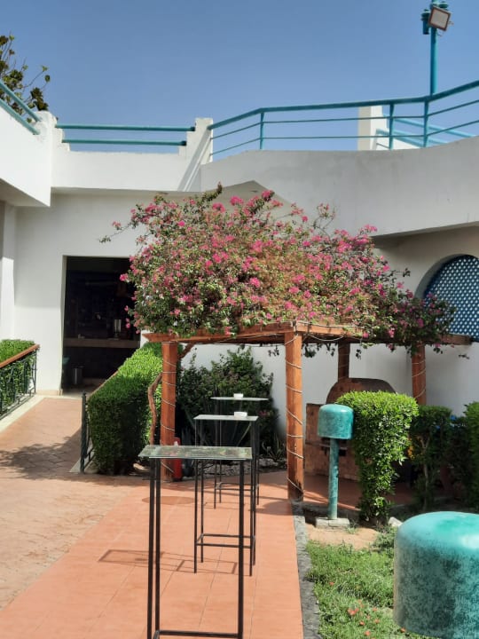Gartenanlage Shams Safaga Resort