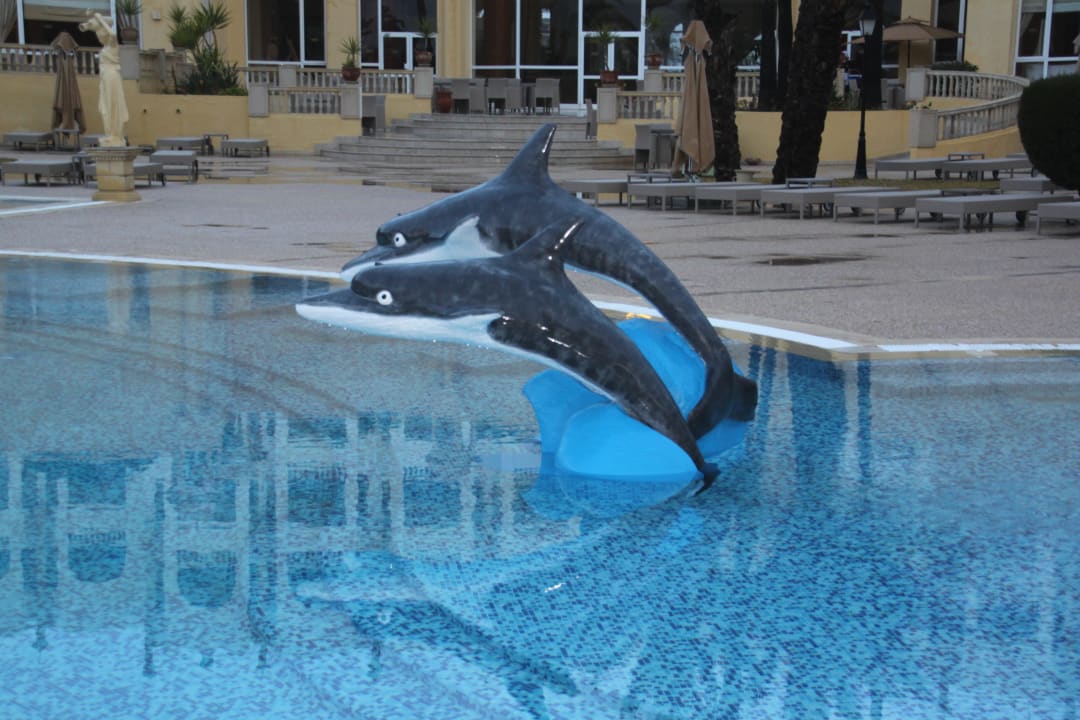 Pool Steigenberger Marhaba Thalasso Hammamet