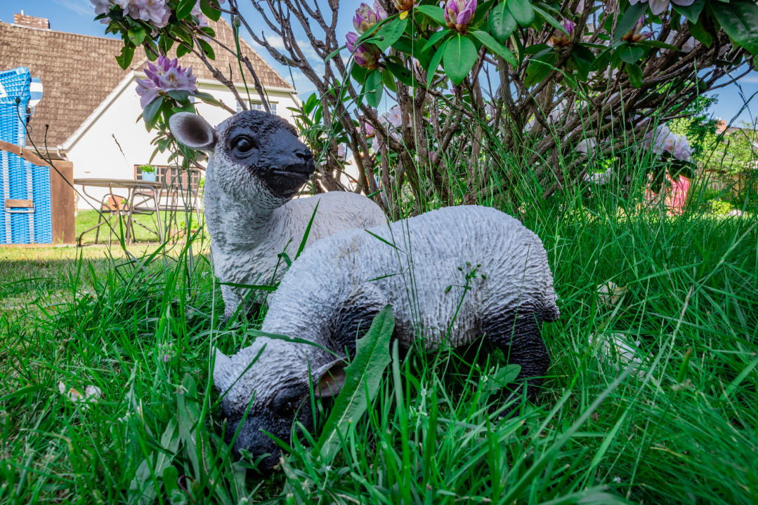 Gartenanlage Letj Briis