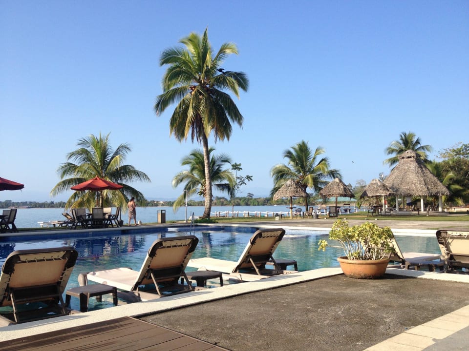 Piscina sul mare  Hotel Beach And Resort Playa Tortuga