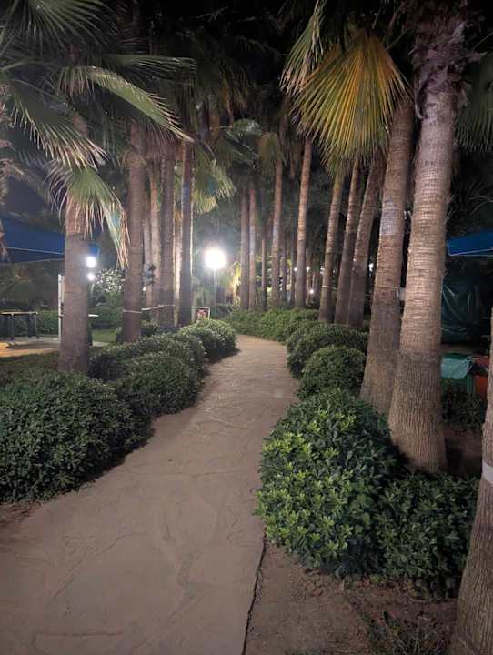 Gartenanlage Hotel Yetkin