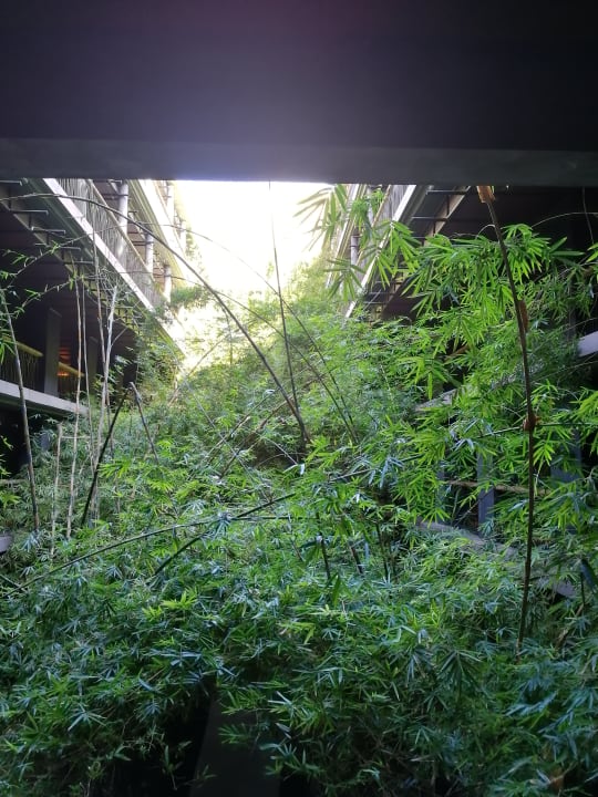 Ausblick Lopesan Baobab Resort