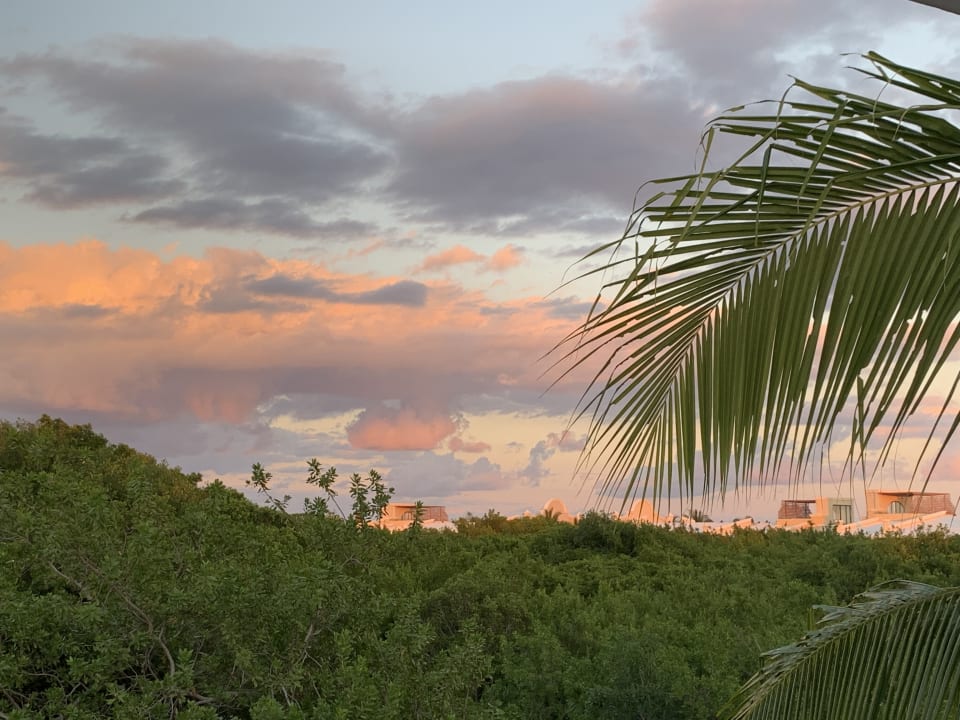 Ausblick TRS Yucatan Hotel - Adults only