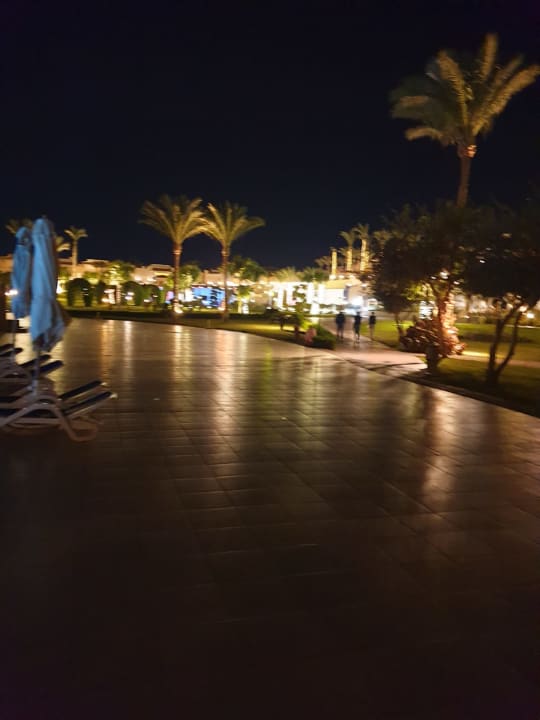 Garten Cleopatra Luxury Resort Makadi Bay
