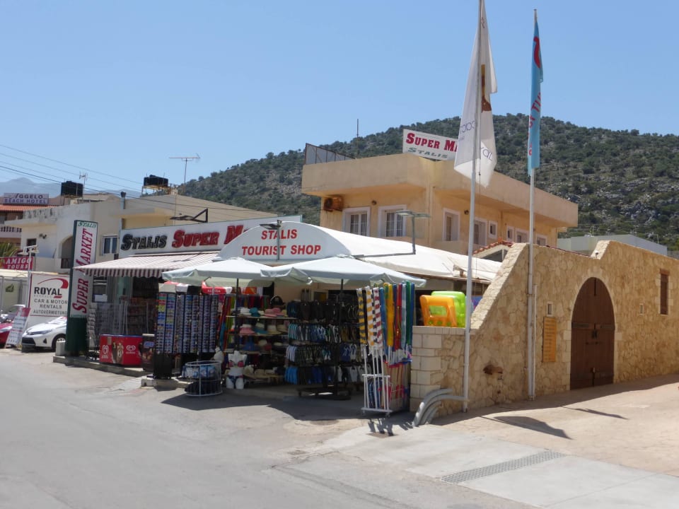 Blick aus dem Eingang Cactus Royal