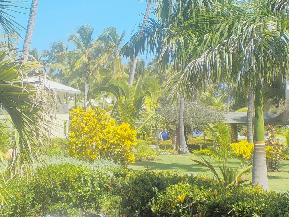 Garten Grand Sirenis Punta Cana Resort & Aquagames