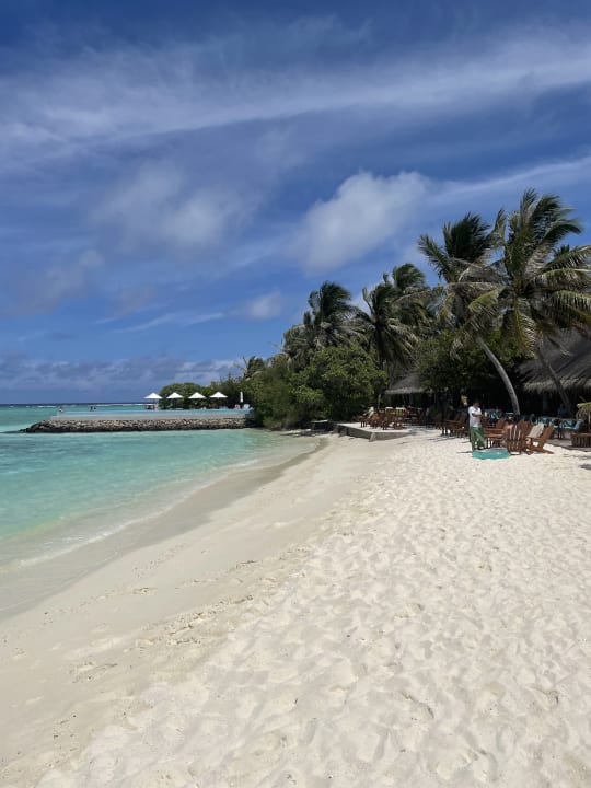 Strand Summer Island Maldives