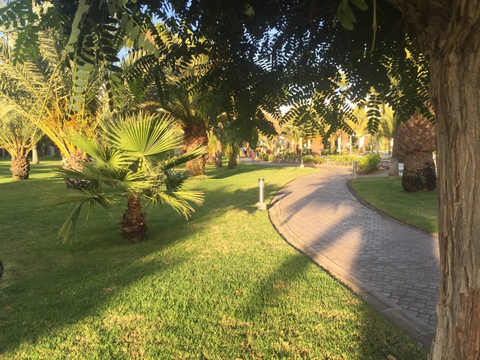 Ogród Hotel Riu Gran Canaria