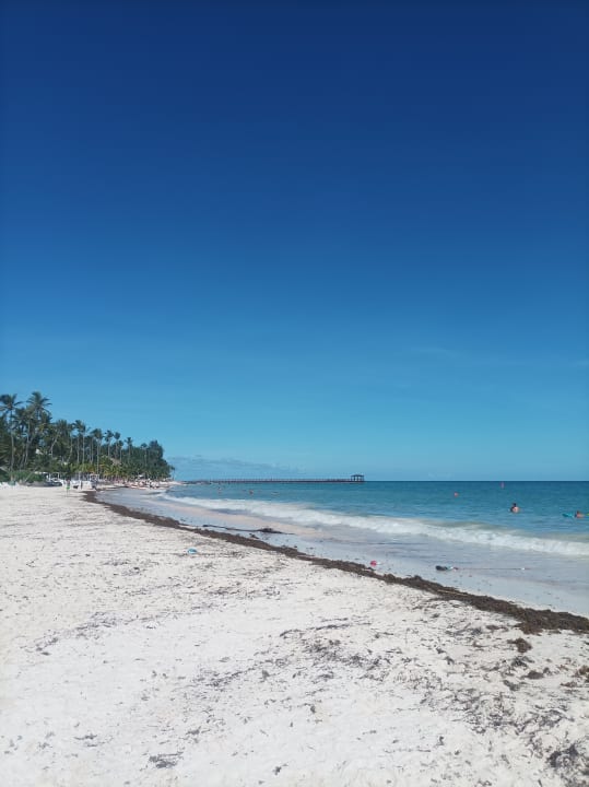 Strand whala!bávaro