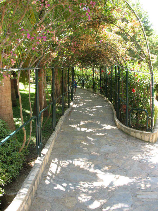 Weg zum Miramare Beach Miramare Queen Hotel