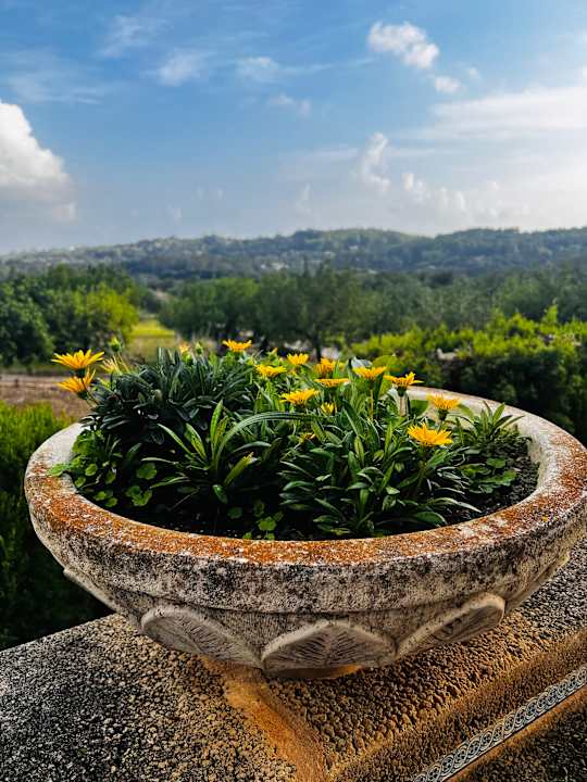 Gartenanlage Finca Hotel & Spa Monnaber Nou