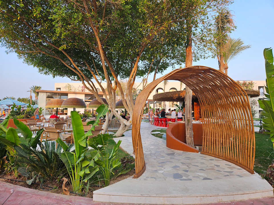 Ausblick Desert Rose