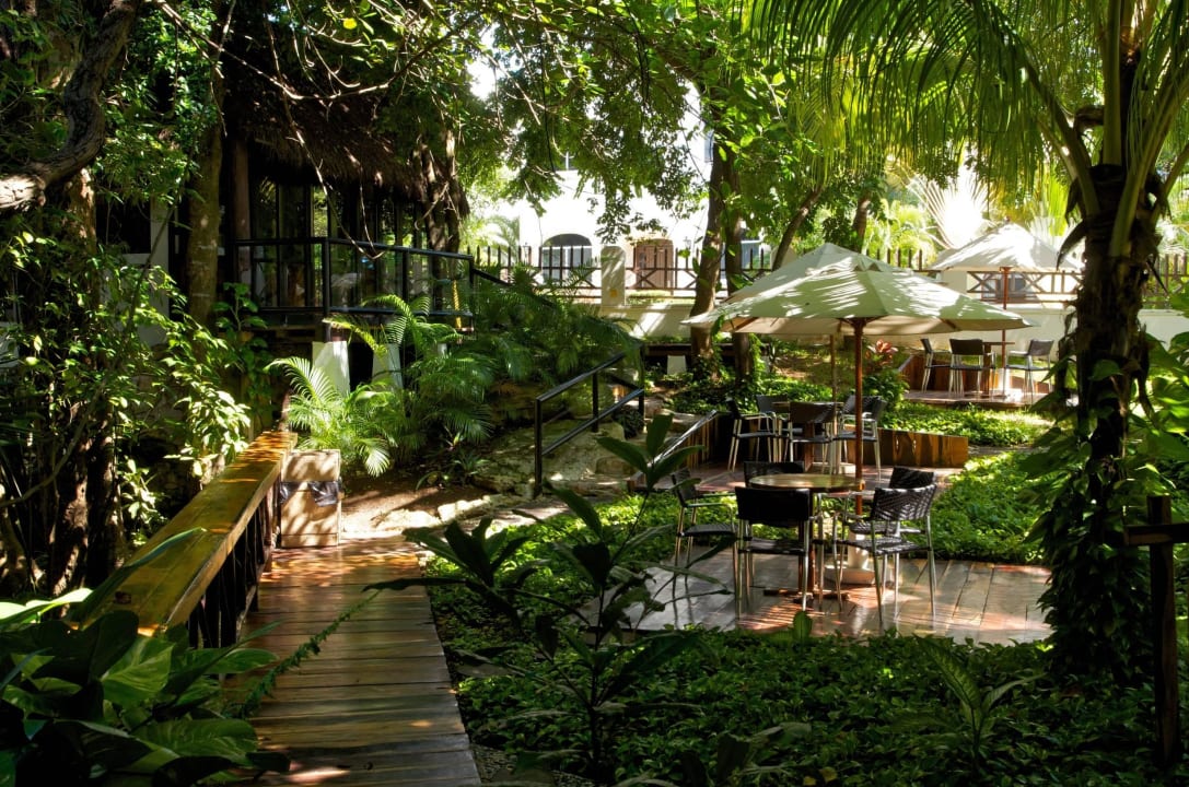 Ice cream parlor The Reef Playacar