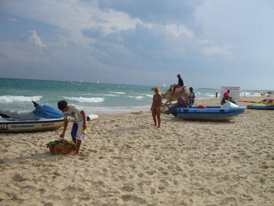 Frisches Obst und Meer vor dem Sturm AQI Venus Beach
