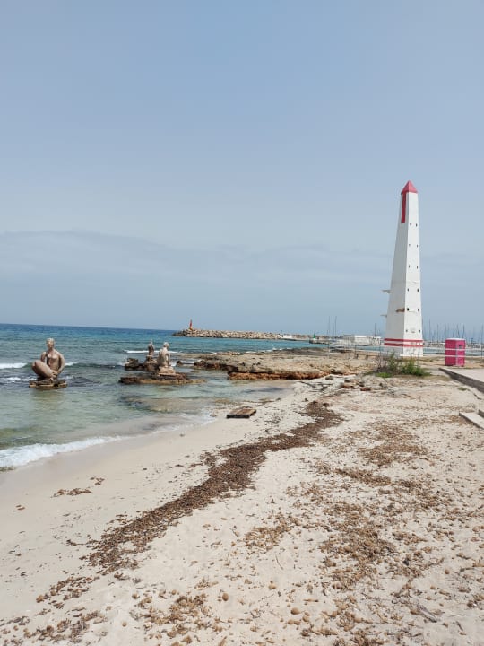 Außenansicht The Sea Hotel by Grupotel - Adults only