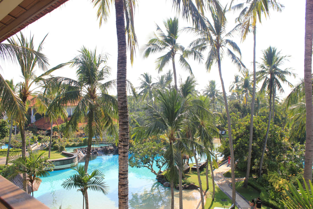 Aus unserem Zimmer The Laguna A Luxury Collection Resort & Spa