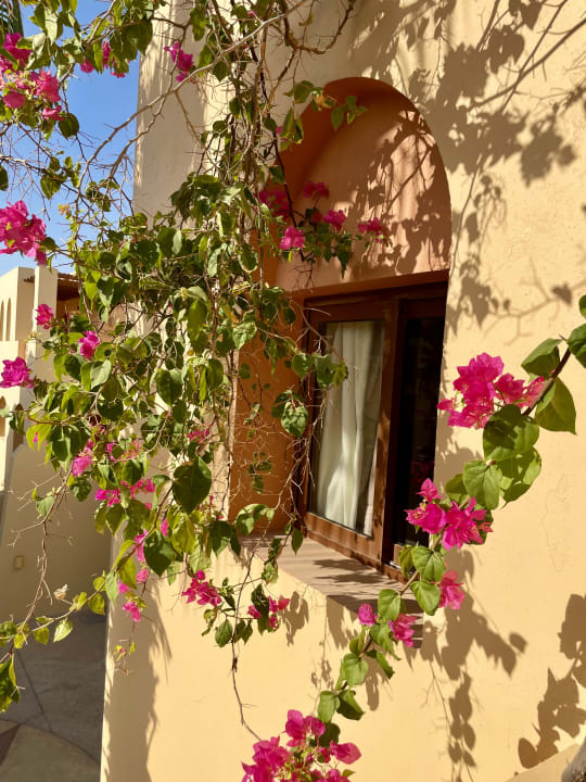 Zimmer Steigenberger Coraya Beach - Adults only