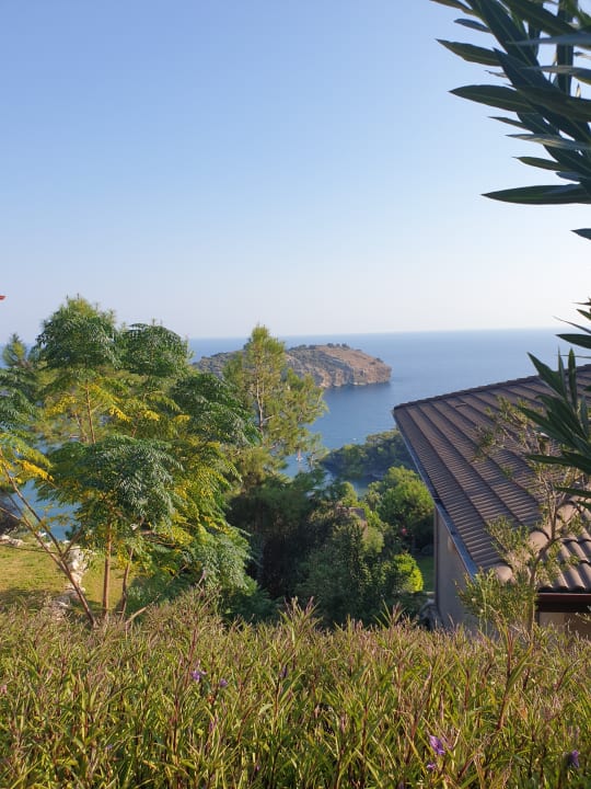 Gartenanlage TUI BLUE Seno - Adults Only