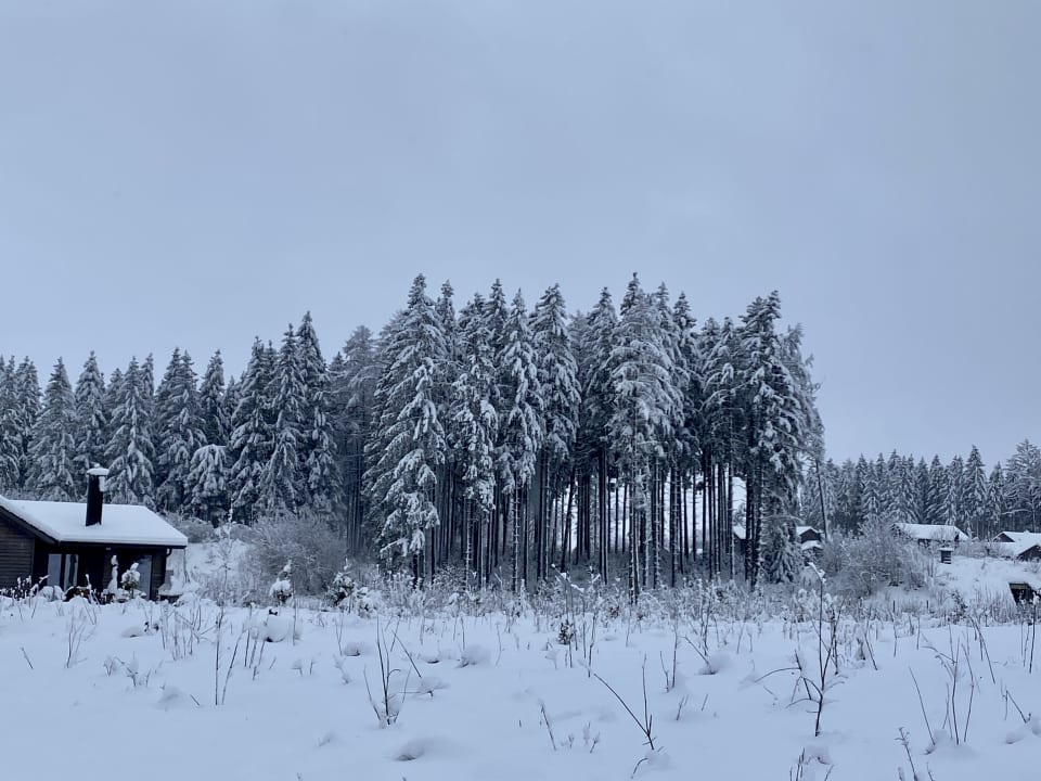 Ausblick Center Parcs Park Allgäu
