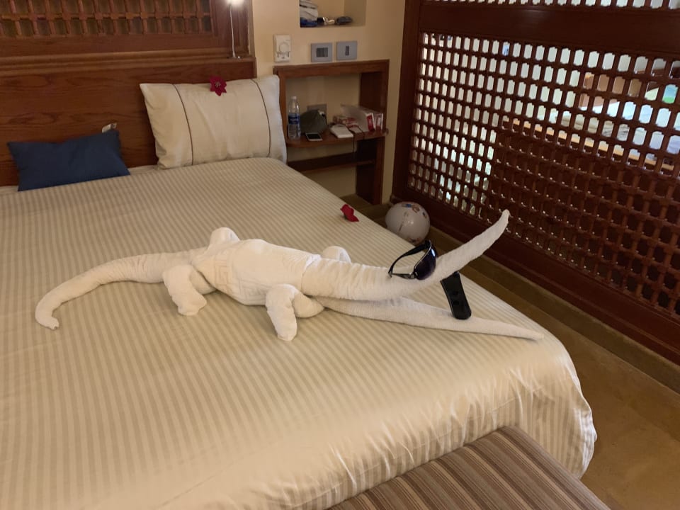 Zimmer Grand Waterworld Makadi & Family Star Makadi