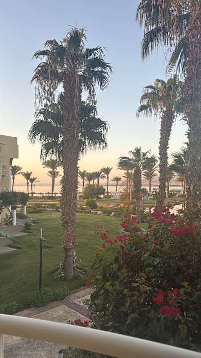 Gartenanlage Palm Royale Resort - Soma Bay