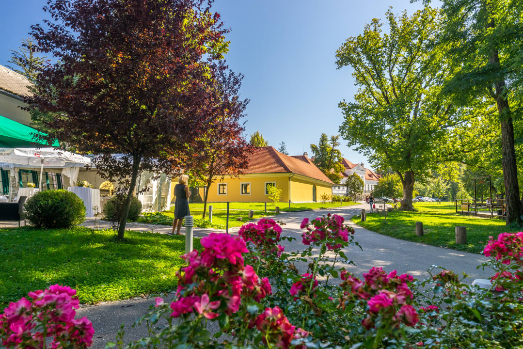 Gartenanlage Hotel Europahaus Wien