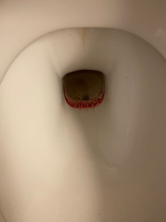 Zimmer Parkhotel 1901 Mannheim