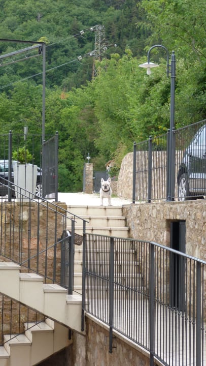 Der rückwärtige Teil ... Apartments Borgo le Vigne