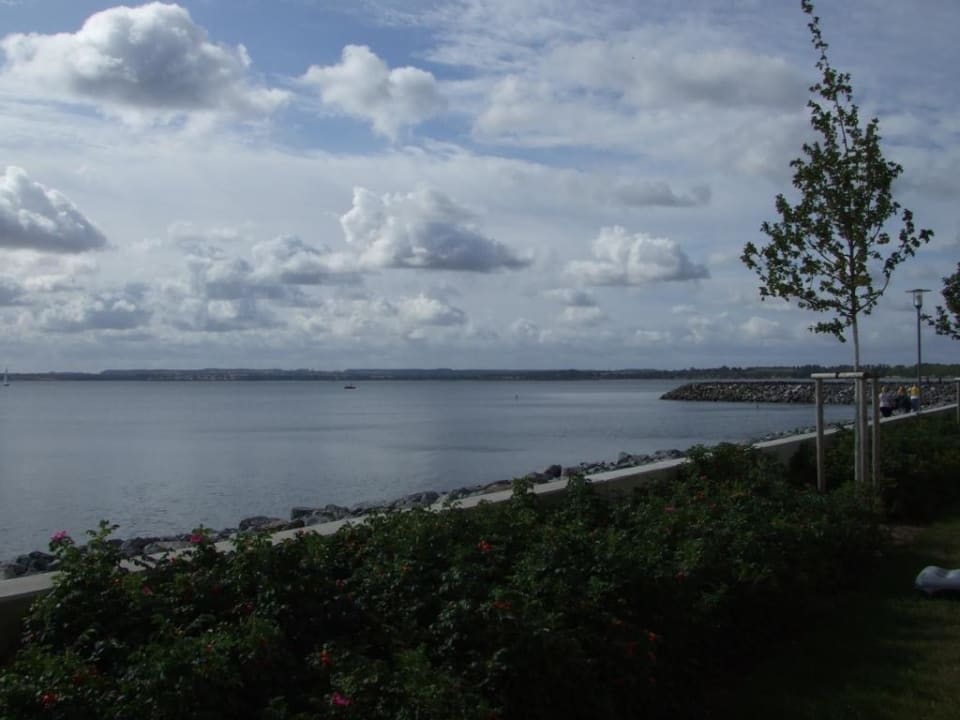 Blick von der Terrasse BEECH Resort Boltenhagen