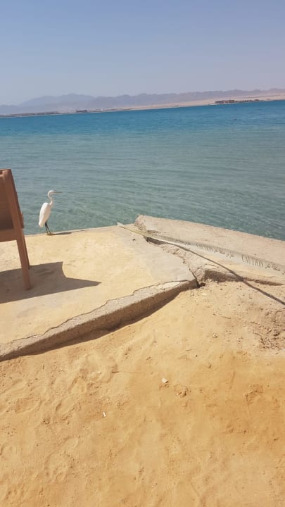 Strand Palm Royale Resort - Soma Bay