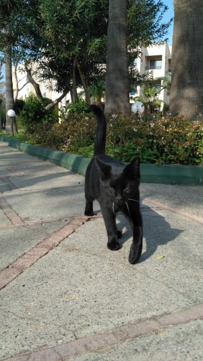 Sonstiges Labranda Alantur Resort