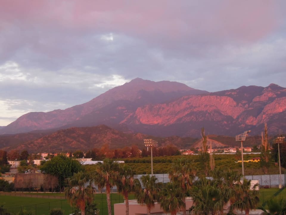 Zimmeraussicht  Viking Park