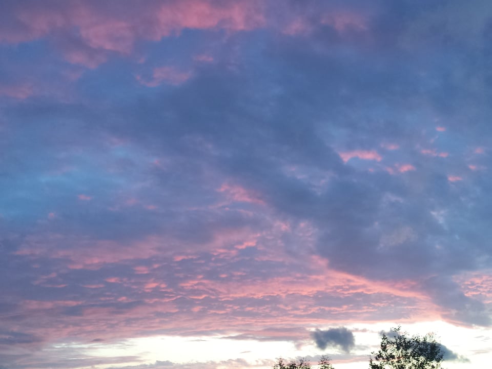 Außenansicht Apartments Villa Magnolija