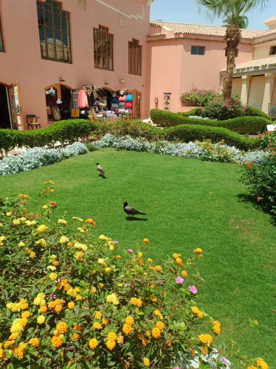 Gartenanlage Mövenpick Resort & Spa El Gouna