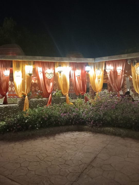 Sonstiges Desert Rose